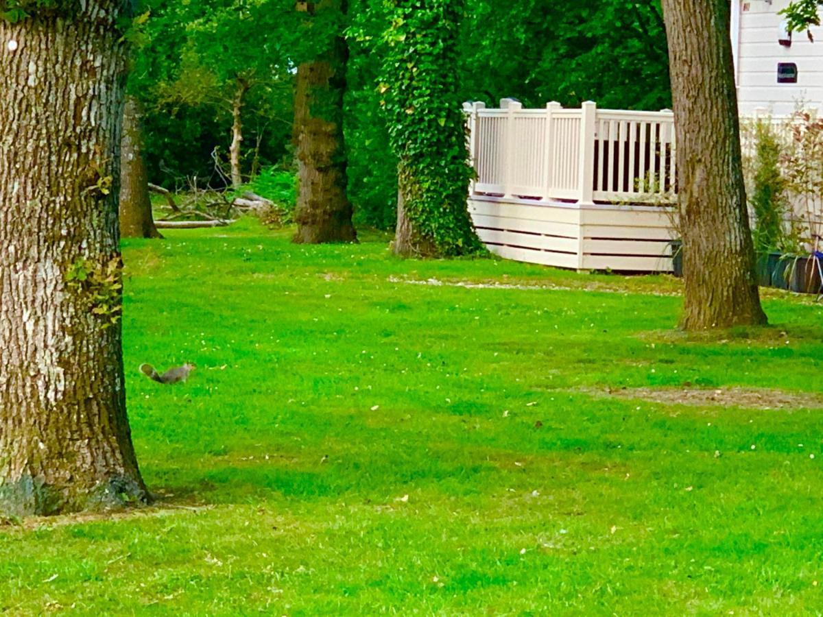 Forest Haven Sway Exteriér fotografie