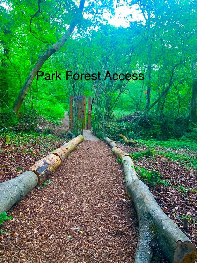 Forest Haven Sway Exteriér fotografie
