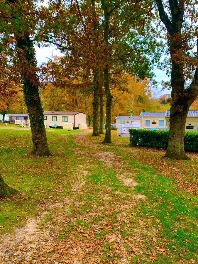 Forest Haven Sway Exteriér fotografie